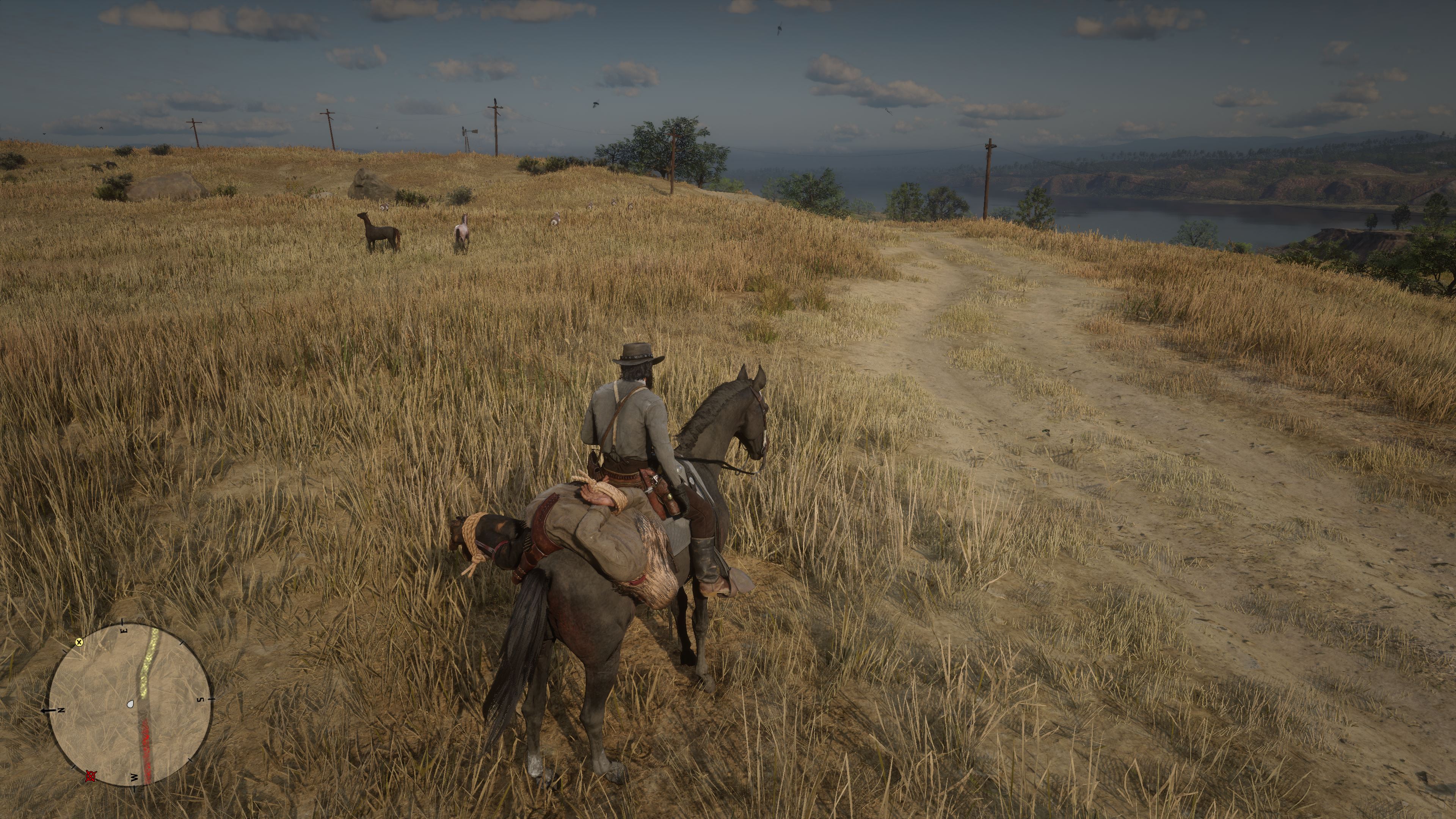 2023-08-20 19_03_13-Red Dead Redemption 2